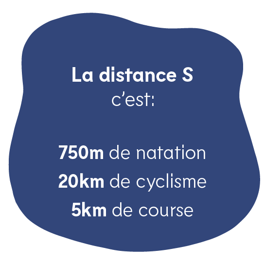 Plan de travail 4