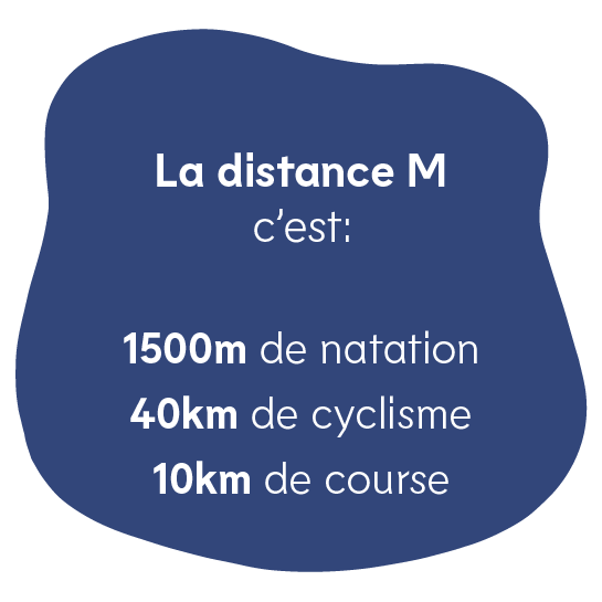 Plan de travail 5